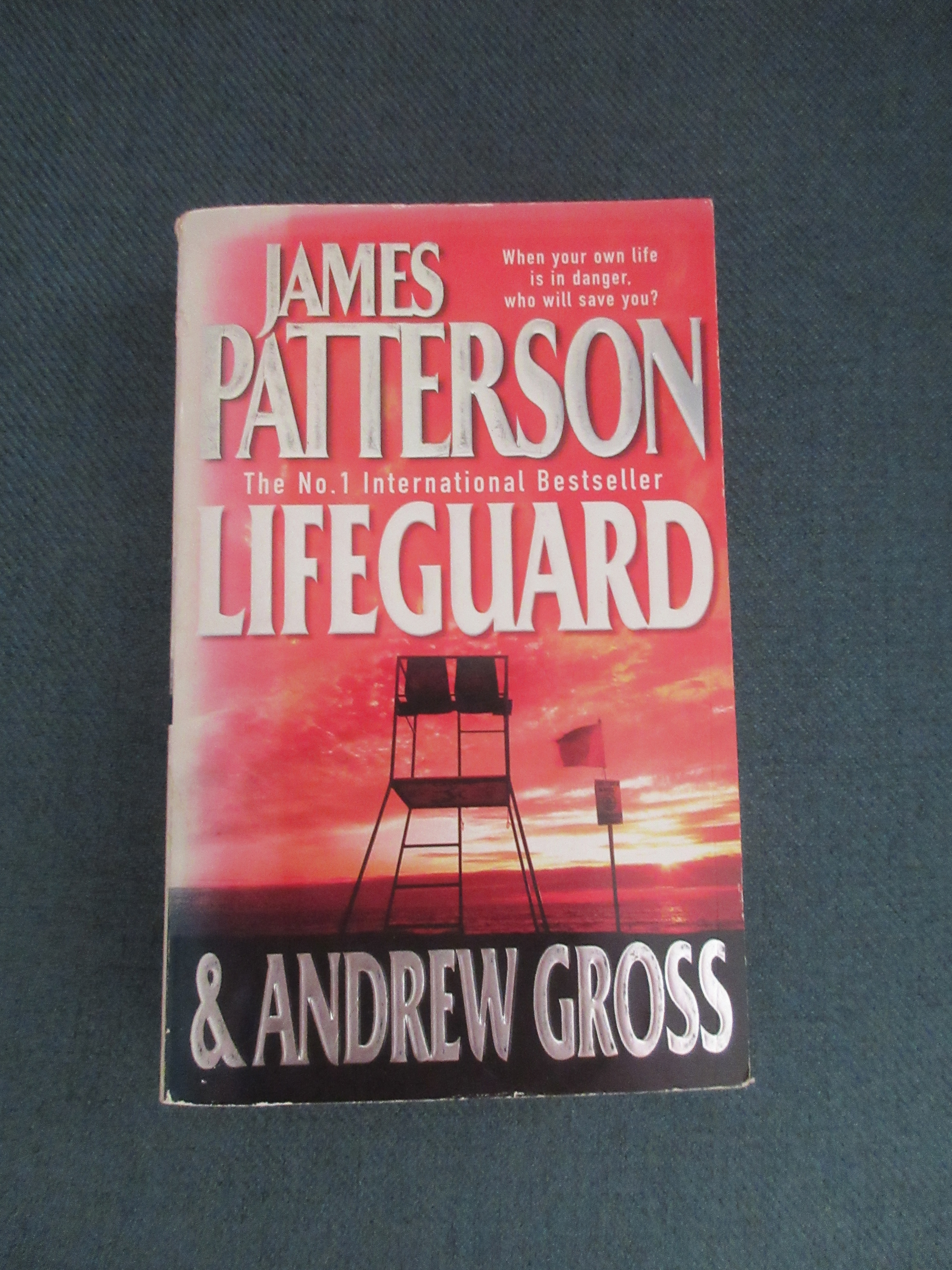 Lifeguard by James Patterson and Andrew Gross - photo by Juliamaud